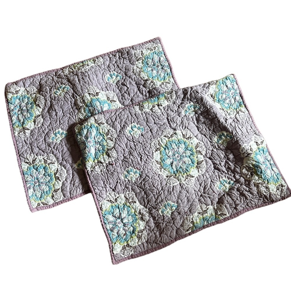 Pottery Barn Quilted Pillow Shams